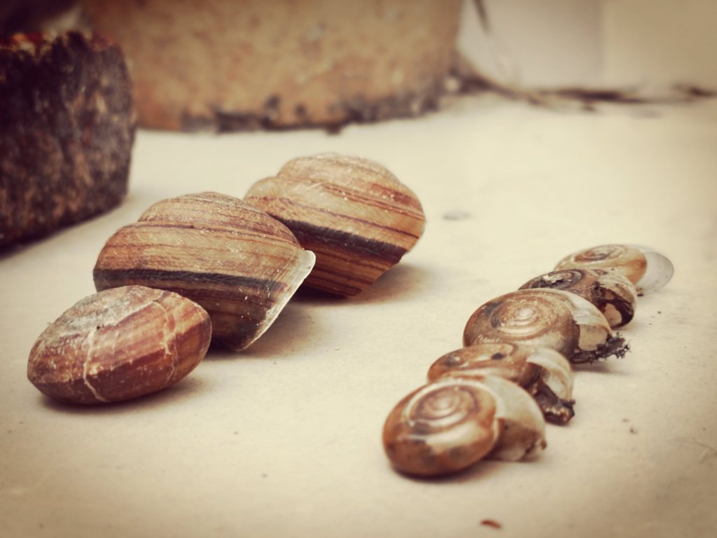 人總需要一些奇怪的嗜好