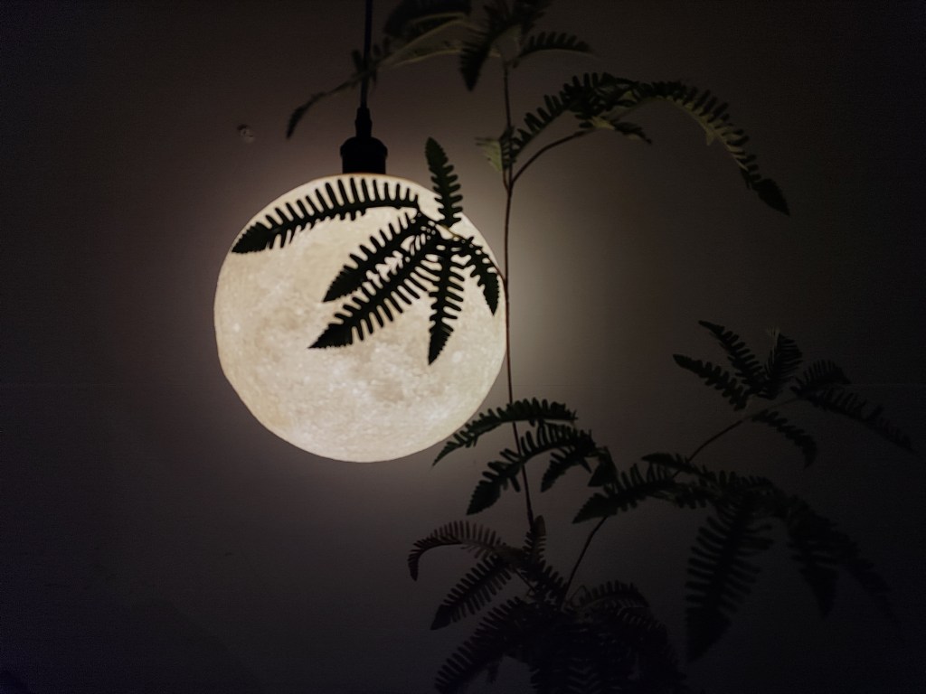 歸來，整理奇遇記。